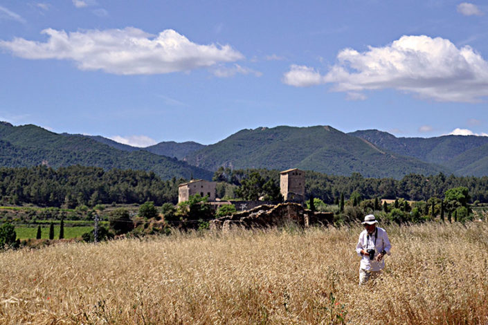 Milmanda, al fons muntanyes de Prades