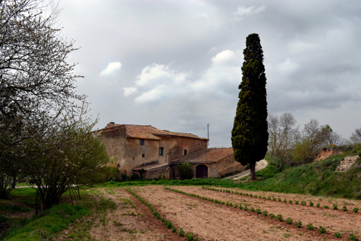 Moli de Guasch